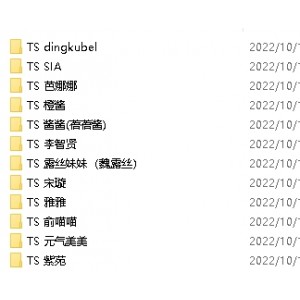 高颜值露脸合集312个视频总大小18.4G，TSdingkubel、TSSIA、TS芭娜娜等主播各具特色，让你尽情欣赏不同风格的视频内容